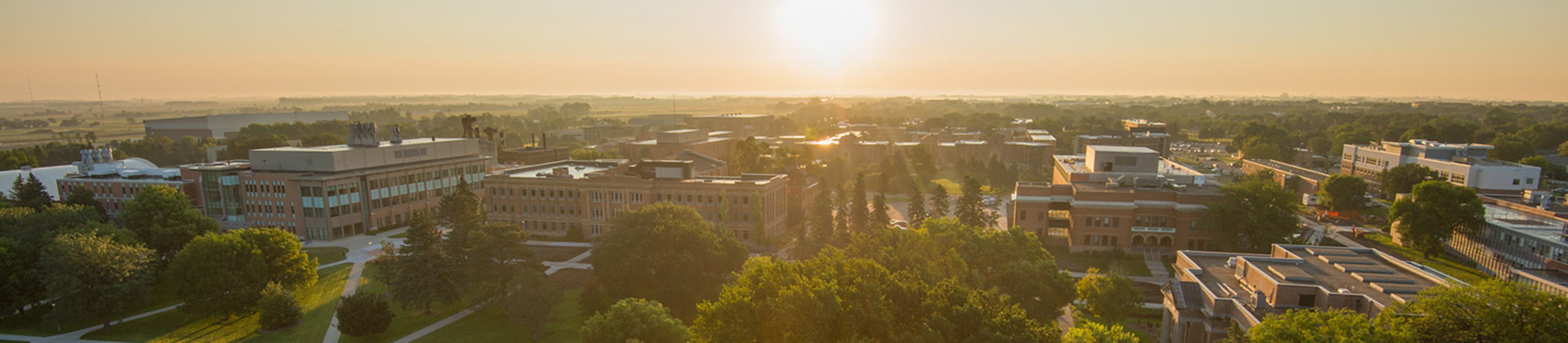 SDSU E. Campus View