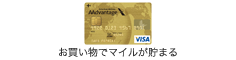 りそな/AAdvantage VISA Card